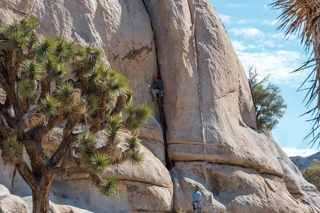 攀岩体能与康复：被低估的隐形战场（数据科技视角）